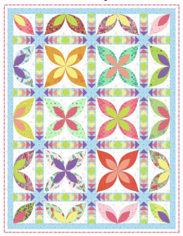 Daydreamer Paradise Quilt Kit Tula Pink Petting Fabric