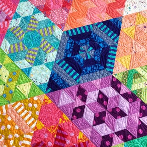 tula-pink-nebula-quilt-kit-bom-petting-fabric