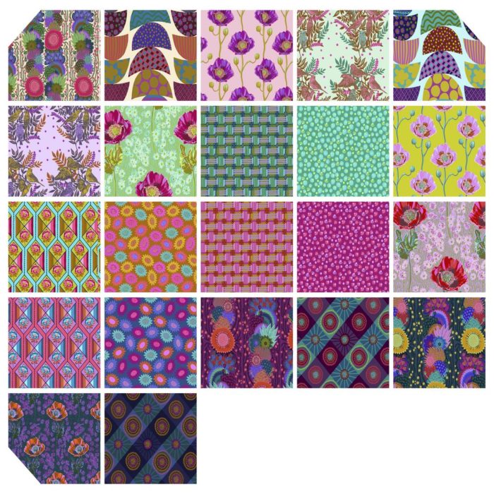 Bright Eyes by Anna Maria Horner One Yard Bundle - Petting Fabric