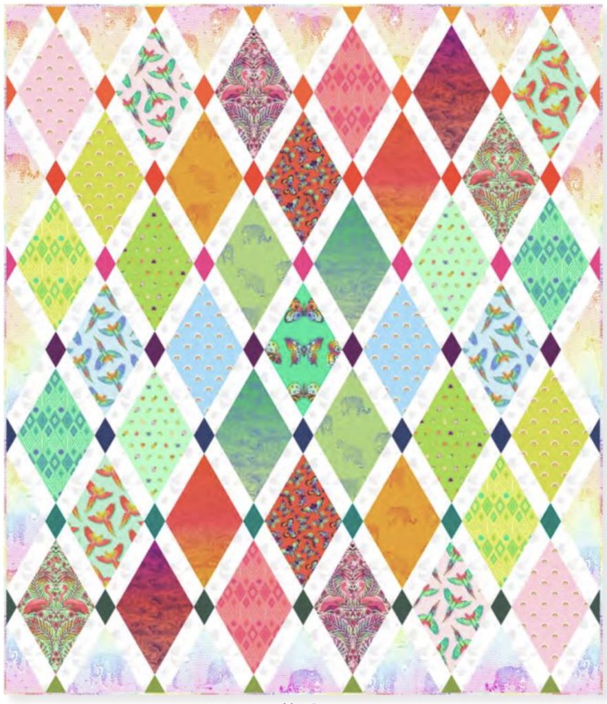 Daydreamer Tumble Quilt Kit Tula Pink Petting Fabric