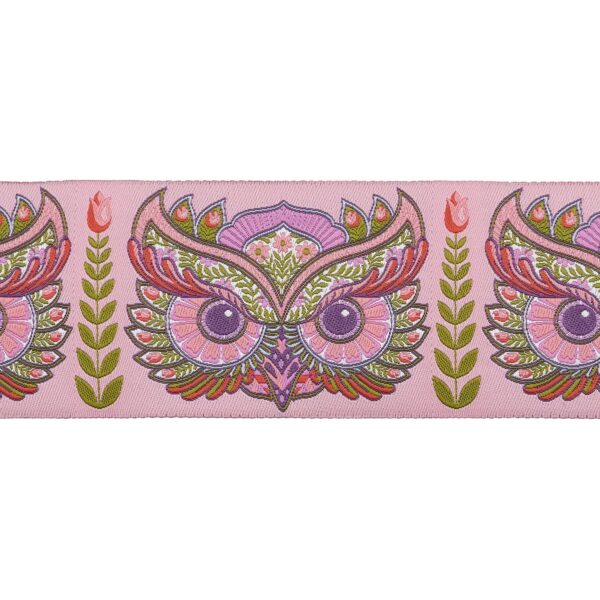 Tula Pink Hootie Patootie in Honey  2" Ribbon - Image 2