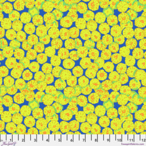 Sand Dollar Blue - Kaffe Fassett Collective February 2026