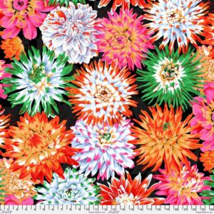 Cactus Dahlia Contrast - Kaffe Fassett Collective February 2026