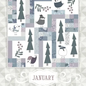 January Quilt Pattern by Meags and Me